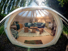 Stargazer Glamping UK Andromeda 7 People